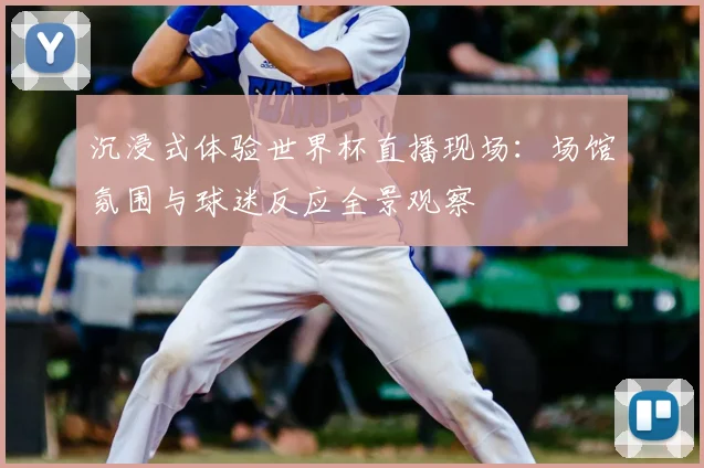 沉浸式体验世界杯直播现场：场馆氛围与球迷反应全景观察