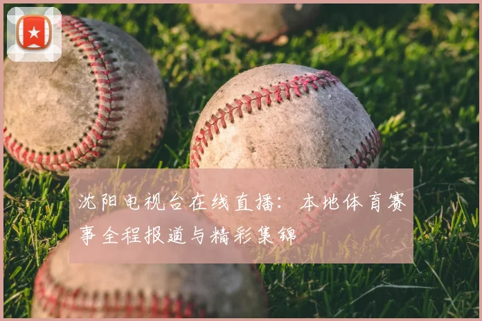 沈阳电视台在线直播：本地体育赛事全程报道与精彩集锦