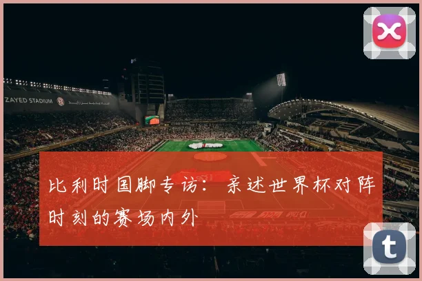 比利时国脚专访:亲述世界杯对阵时刻的赛场内外