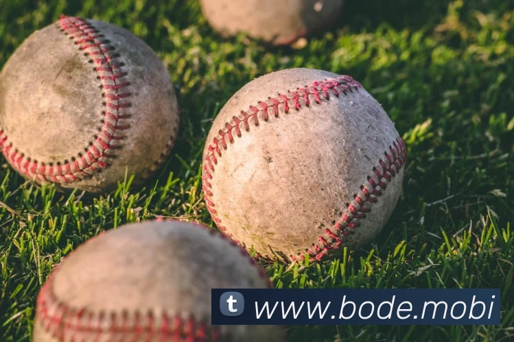 开云手机入口官方网站APP 封面图